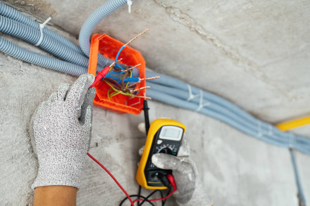 Best Licensed Electrician  in Walnut Hill, TN